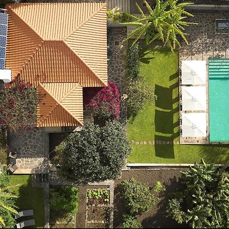 Bordal Houses フンシャル エクステリア 写真